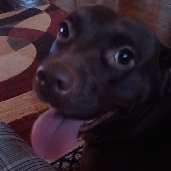 Sweet Baby Gingy, Tina and Ray - Picture 6 of 6